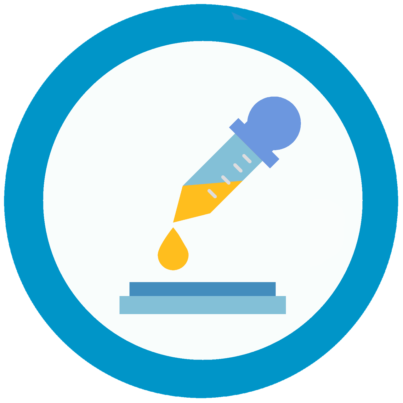 Male Urinary Tract